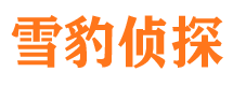 泸县市侦探公司